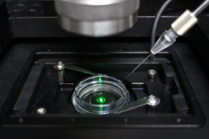 黃逸帆將牛痘病毒粒子裝在極細的玻璃管中，並將玻璃管移至細胞樣本上方，就能在局部釋放出病毒粒子，提高病毒接觸到細胞表面的機率。 攝影│張語辰
