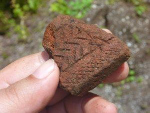 在索羅門群島的地表就可以撿拾到 Lapita 陶片，陶器上可看到一部分紋飾。圖│邱斯嘉，取自〈Go with the flow (中) 〉，《芭樂人類學》專欄文章