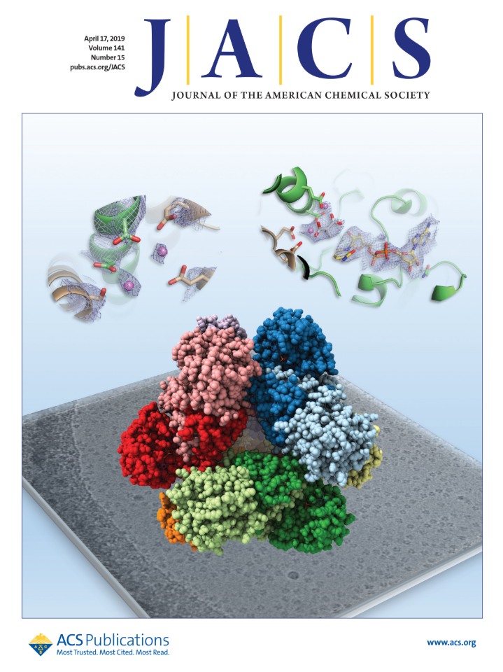 4 月 17 日出版的《美國化學學會期刊》,蔡明道院士此次的研究成果「蛋白質酵素 3D 立體結構圖」,獲選為當期封面,可見原子級的解析力。圖│《美國化學學會期刊》(Journal of the American Chemical Society)