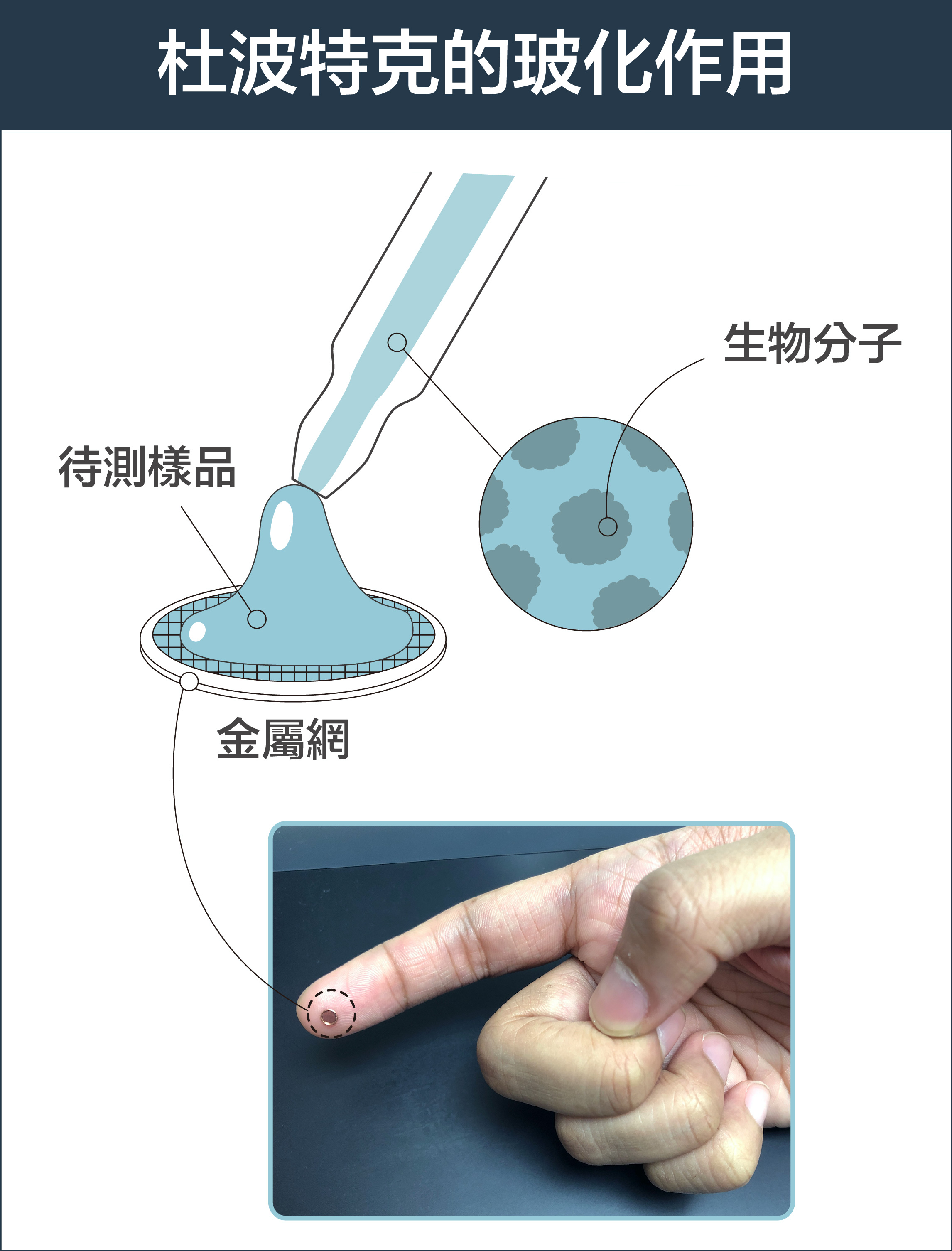 在金屬網上,並移除過多的樣品,樣品會在網目上形成薄膜。圖│研之有物 (資料來源│pdf)