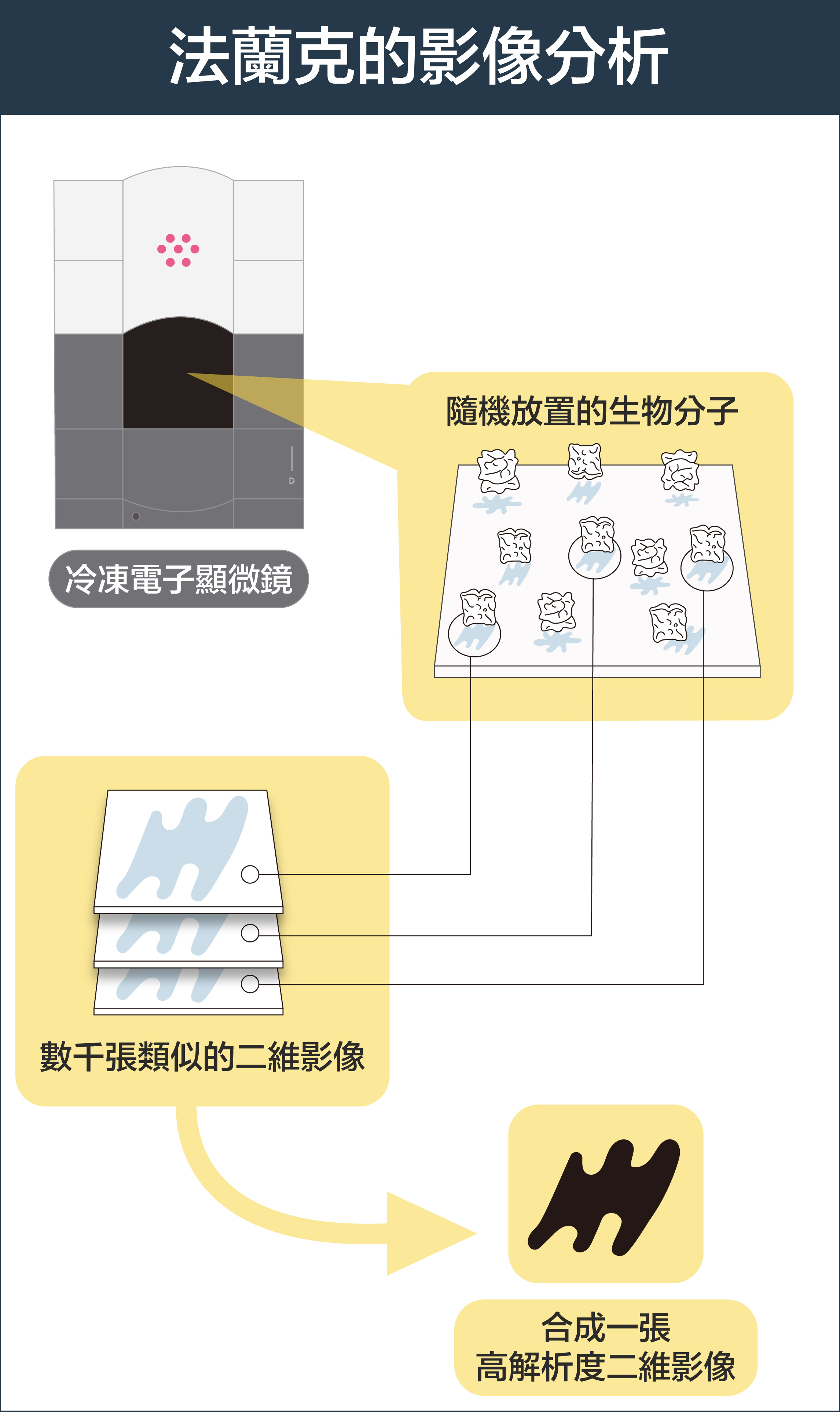 第一步:電子束撞擊隨機排列的生物分子,形成不同的影像。電腦把上千張相似的影像放在一起,變成一組,合成ㄧ張高解析度的二維影像。圖│研之有物 (資料來源│pdf)