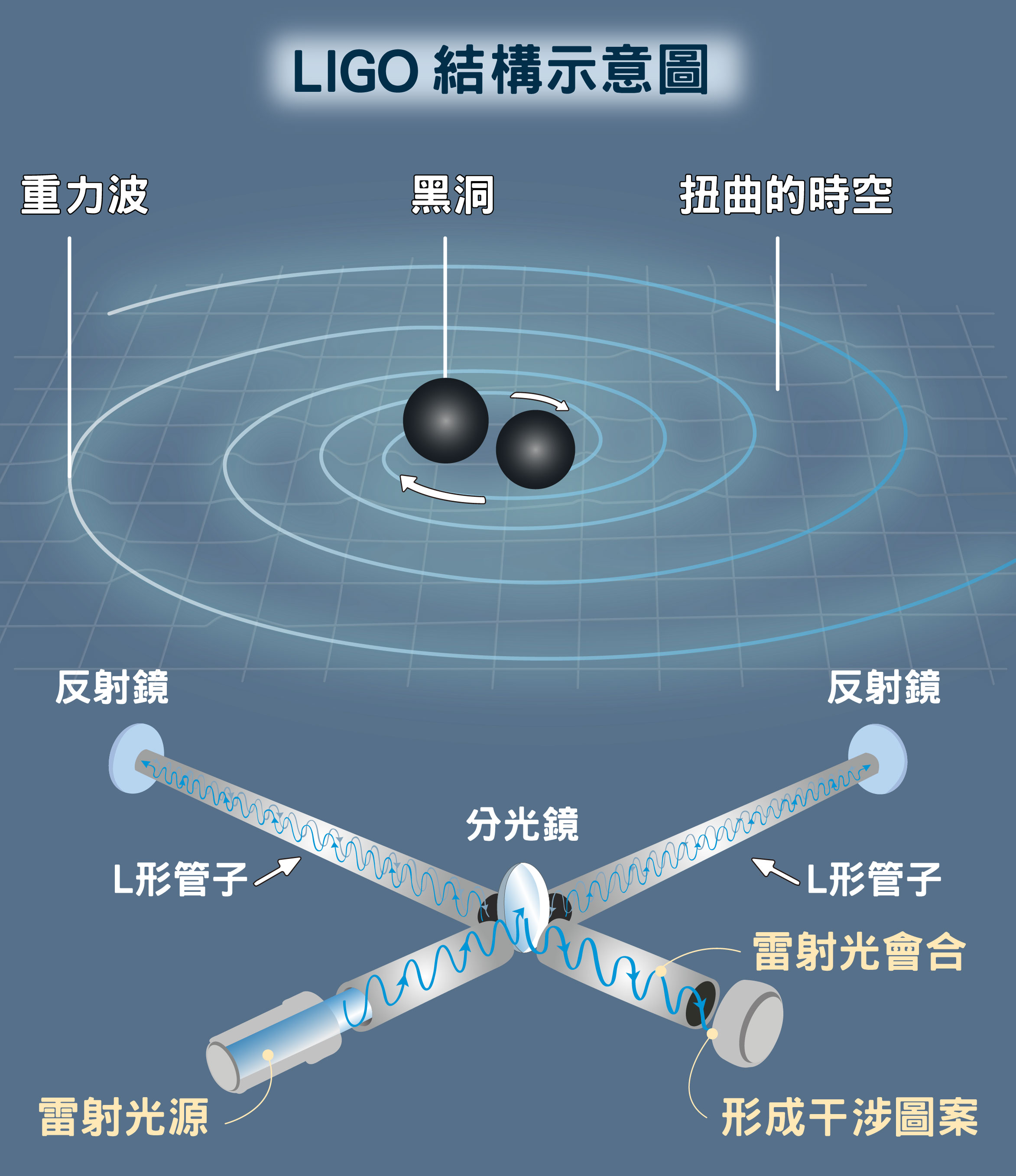 雷射光被分光鏡分成兩道，分別沿著兩根管子前進，經由管末的反射鏡反射四百趟之後，兩道雷射光會在出發的交角處會合並互相干涉。如果沒有重力波，兩道光程一樣(兩根管長一樣)，不會出現干涉條紋。如果有重力波，光程不同(管長些許不同)，就會出現干涉條紋，藉此偵測出重力波。圖│研之有物(資料來源│LIGO will be getting a quantum upgrade)