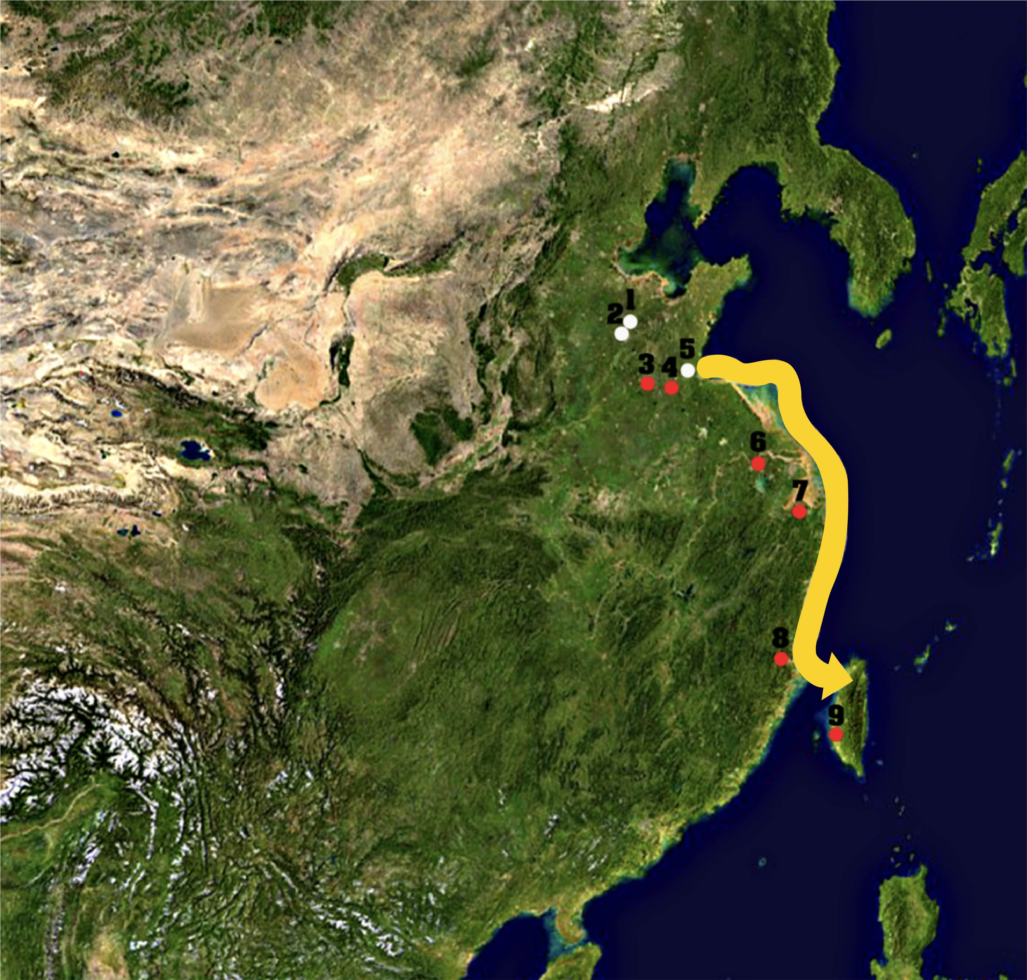 稻起源自長江流域，後來與山東起源的黍、稷一起往南方傳播，進入臺灣。黃色路徑顯示了從山東到臺灣的傳播路線，這個路線也許透漏南島語族遷徙的線索。圖│邢禹依