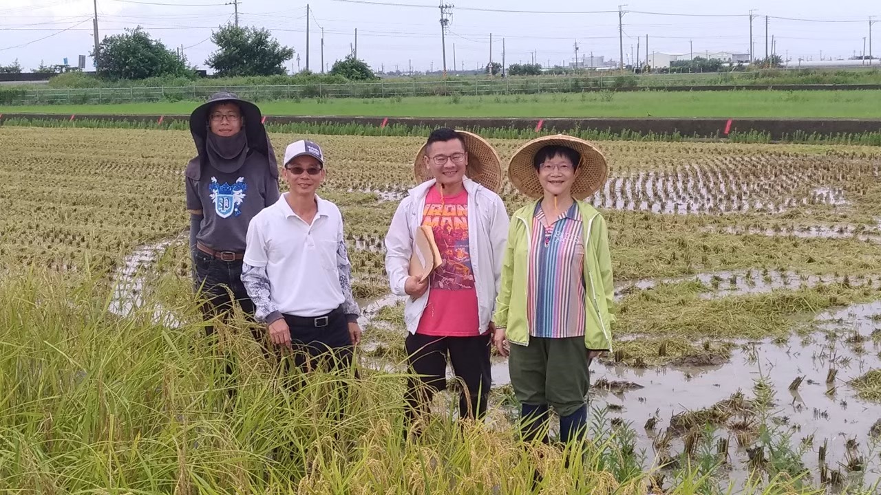 邢禹依特聘研究員 (右一)與吳正杰 (右二)。「我們學農的是看天吃飯，也比較認命。」邢禹依笑著說：「因為研究的材料都是種出來的，但水稻生長期長，又容易受氣候影響，再加上臺灣會有颱風侵襲，被風吹倒、被水淹……幾個月的心血一下子就泡湯了，哭也沒有用，只能等到下一季，重新再來。」圖│邢禹依