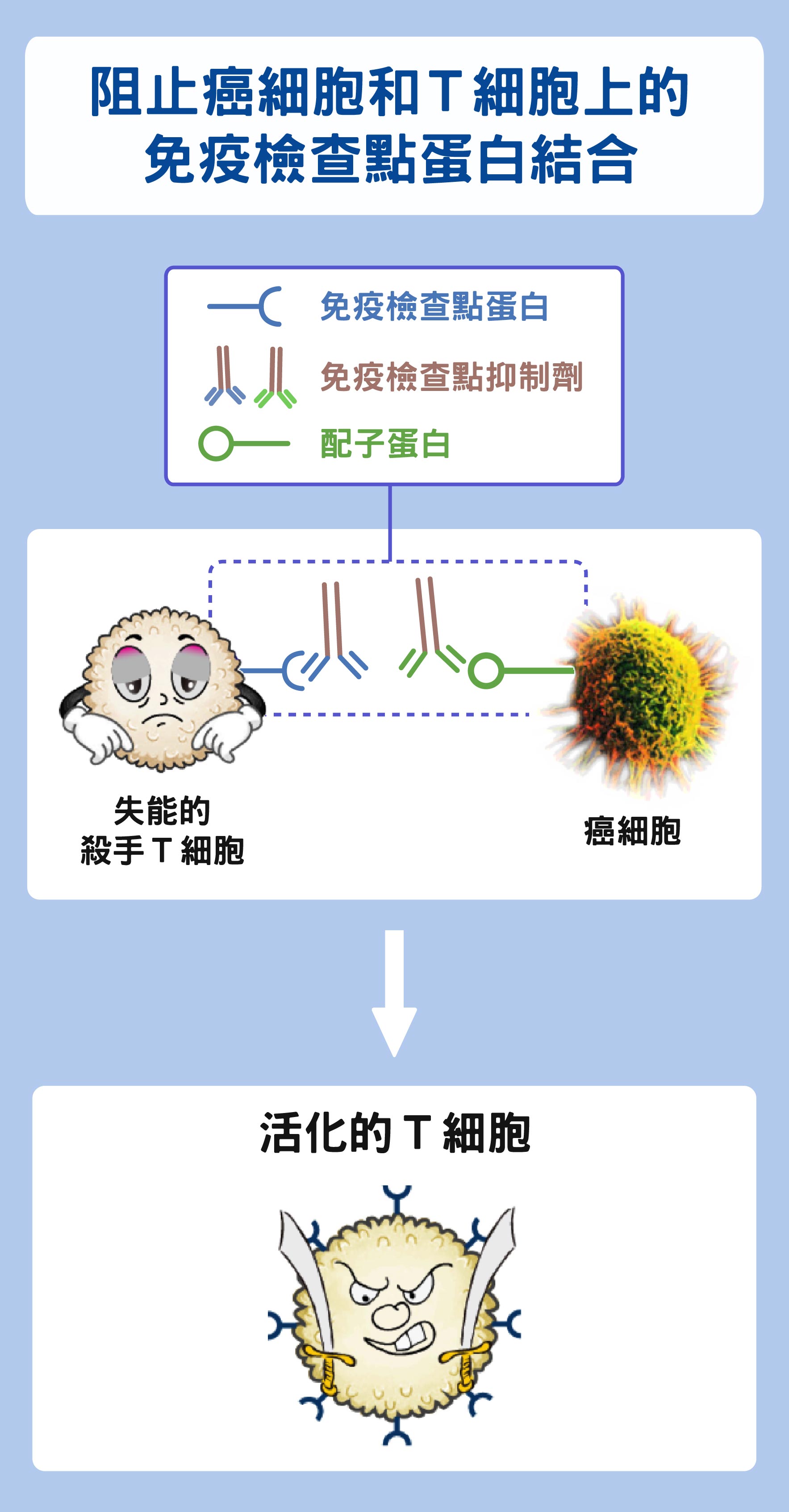 圖│研之有物 (資料來源│陶秘華、圖說原作│張峰碧)