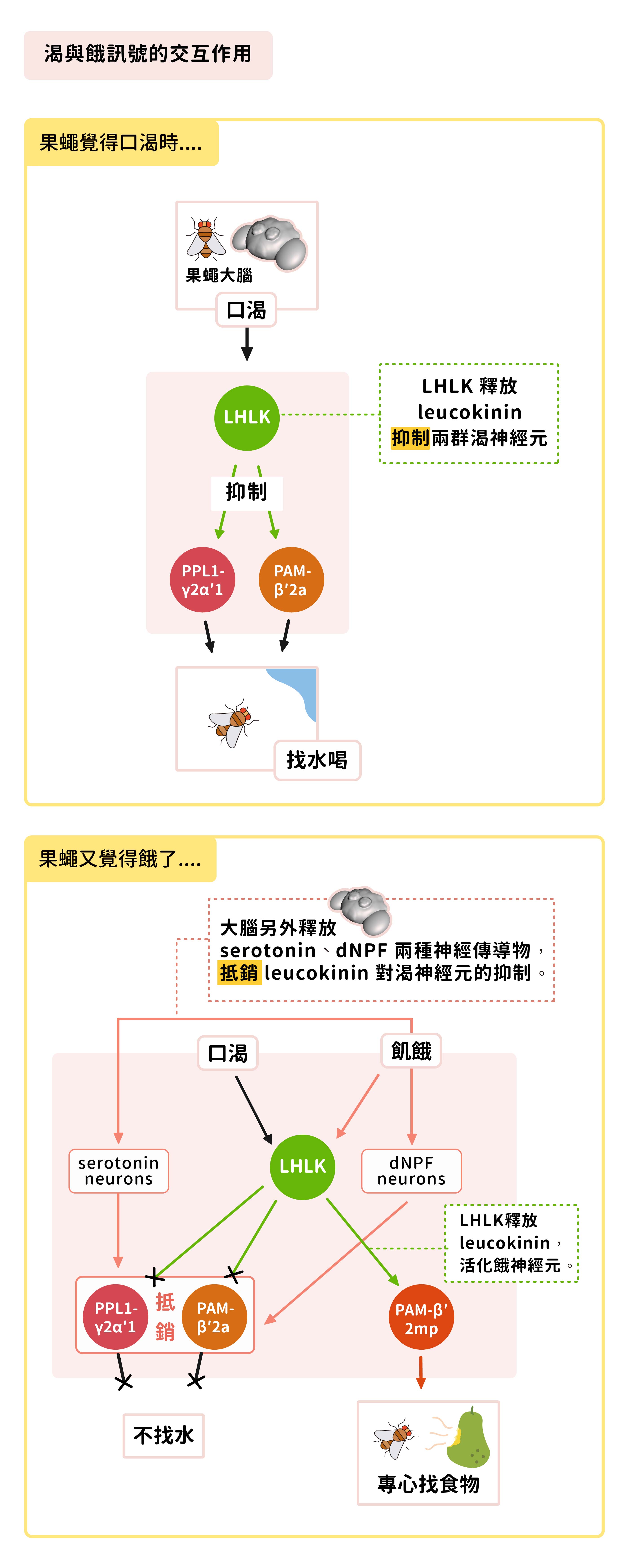 圖│研之有物 (資料來源│林書葦)