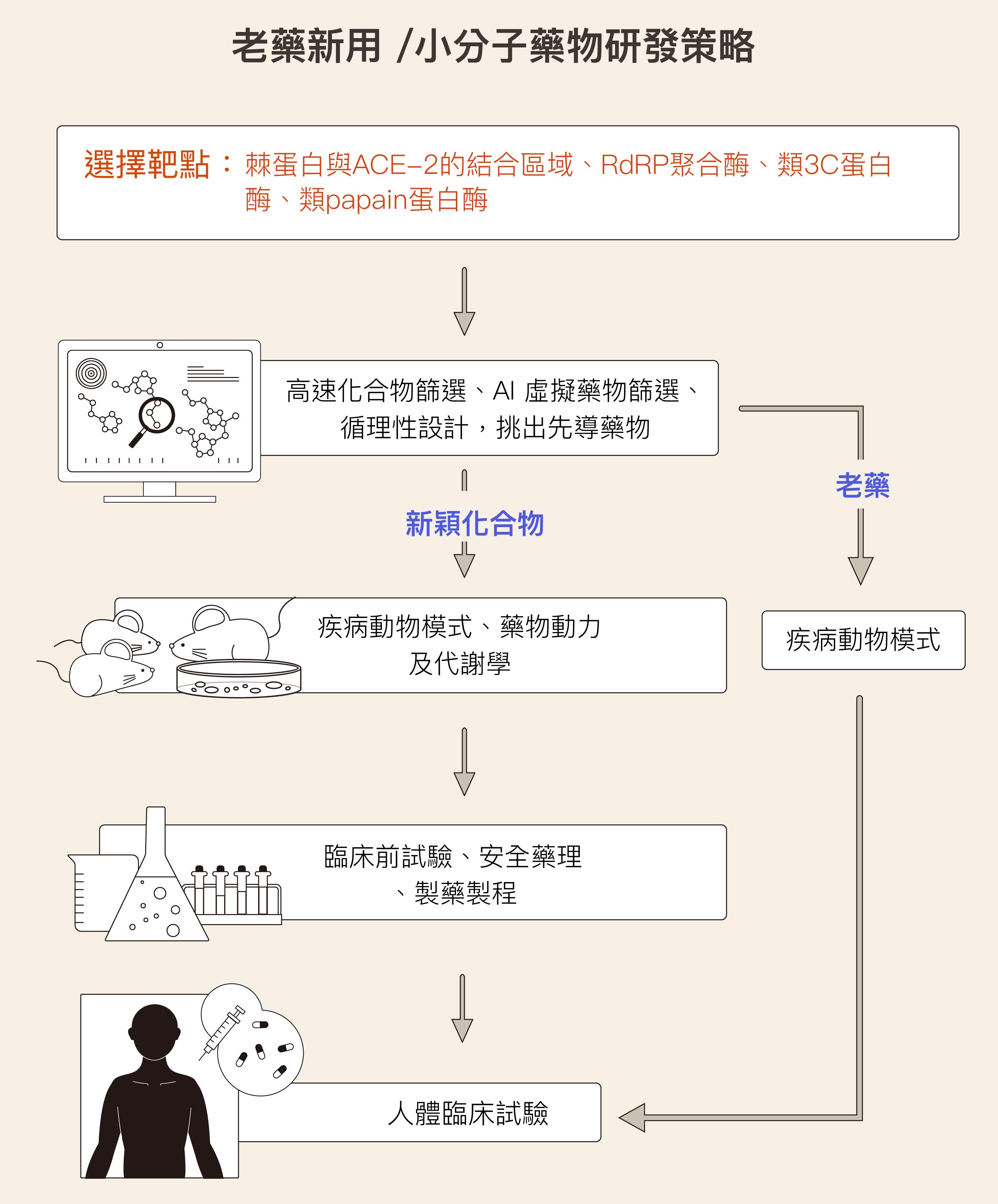 圖│研之有物 (資料來源│謝興邦)